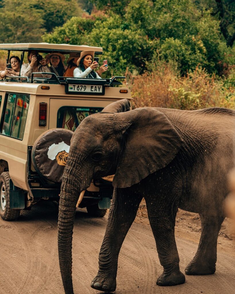 Family African Safari Adventure