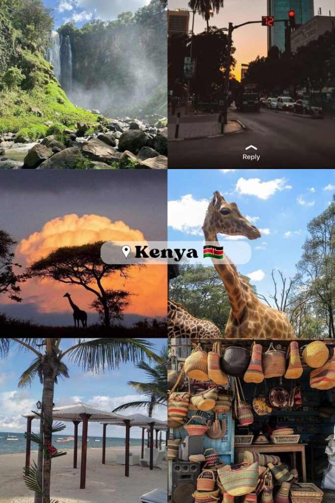 African safari gallery image