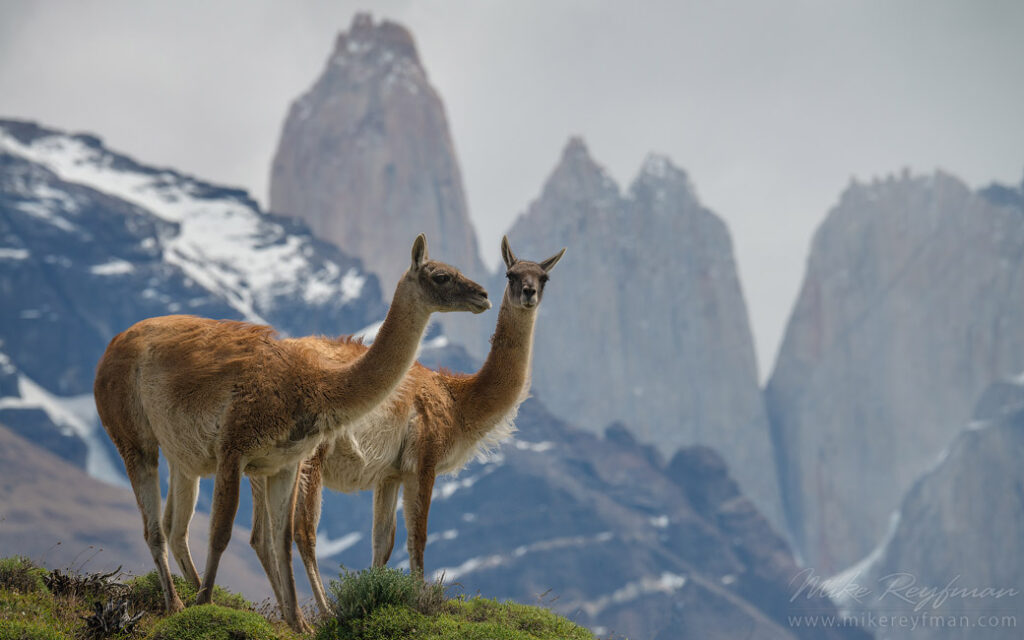 patagonia